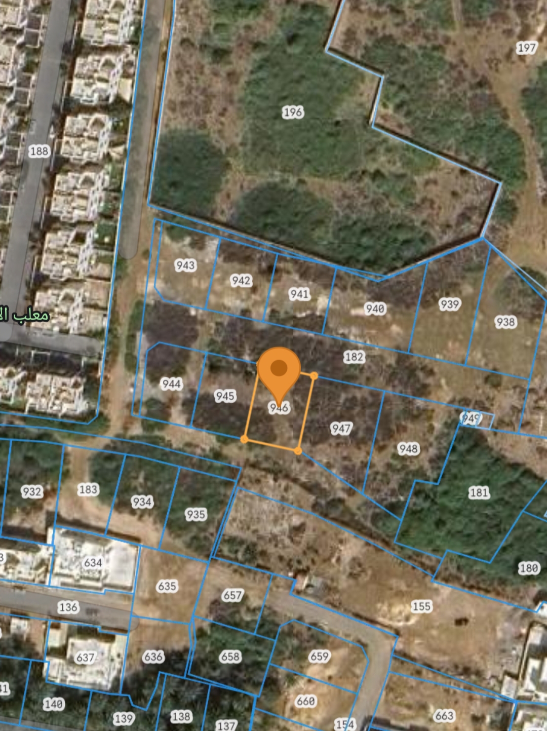 IMG_٢٠٢٥٠٧١٠_١٩٣٠٥٩