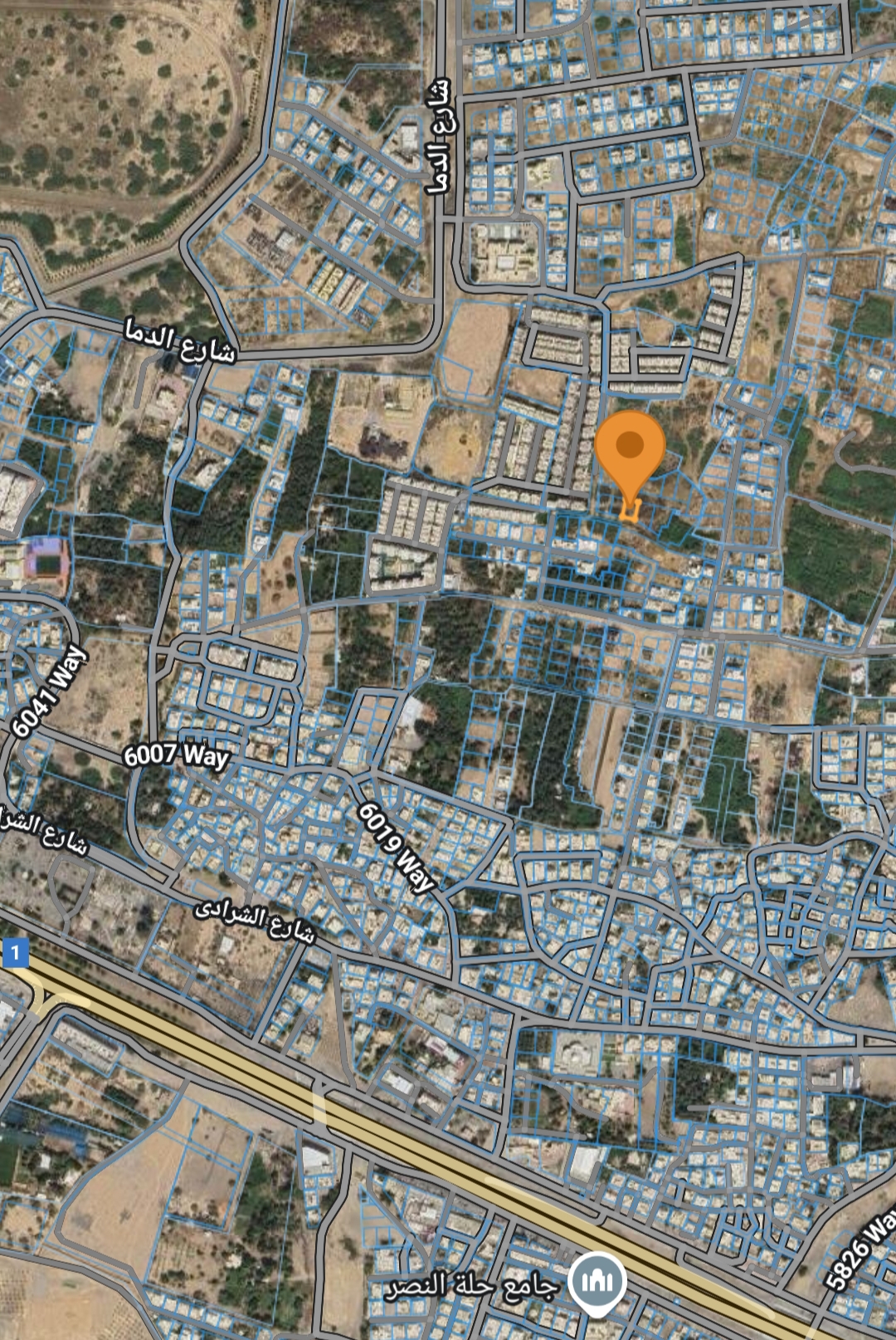 IMG_٢٠٢٥٠٧١٠_١٩٣١١٥